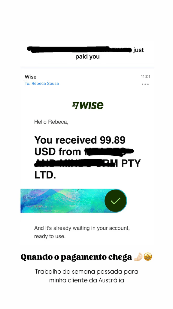 Wise: pagamento em dólares recebido de cliente no exterior.